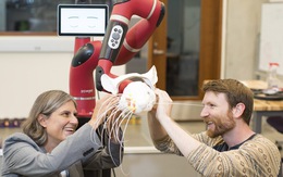 Mỹ phát triển robot mềm dẻo và ​linh hoạt như con người