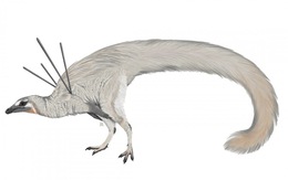 Phát hiện khủng long có 'tóc' và 'ruy băng'