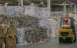 Ngành tái chế giấy hồi sinh nhờ dịch bệnh