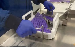 Châu Âu phê duyệt thêm 2 điểm sản xuất vắc xin Pfizer/BioNTech