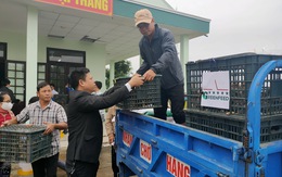 Trao 'sinh kế' giúp người dân Quảng Nam vượt qua khó khăn sau bão lũ