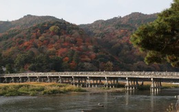 Vượt COVID-19, Kyoto kích cầu bằng chiến dịch 'du lịch vắng'