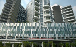 Singapore: 1 ca bệnh vừa bị corona, vừa nhiễm sốt xuất huyết dengue