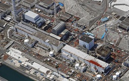 IAEA cam kết tiếp tục hỗ trợ Nhật Bản làm sạch nhà máy Fukushima