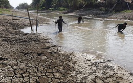 Thái Lan hỗ trợ 98 triệu USD cho nông dân bị ảnh hưởng hạn hán kéo dài