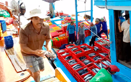 Bộ trưởng Nguyễn Xuân Cường: Không chấp nhận nghề cá tự phát, tận diệt