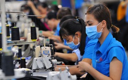 Đồng Nai: Hầu hết lao động đi làm trở lại, gồm 1.000 lao động Trung Quốc