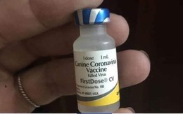 Văcxin phòng 7 bệnh cho chó được rao bán để 'diệt virus corona'?