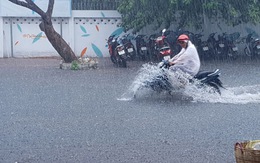 Cà Mau 'mưa vàng', ngập nửa bánh xe ngay giữa mùa khô