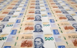 Mexico phát hành trái phiếu thiên tai trị giá 485 triệu USD