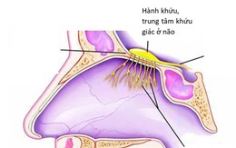 Mất mùi đột ngột: có thể là triệu chứng duy nhất ở bệnh nhân COVID-19