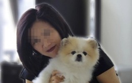Chú chó tại Hong Kong nghi là trường hợp đầu tiên bị lây virus corona từ người