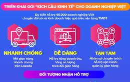 45.000 doanh nghiệp Việt được hỗ trợ trên nền tảng TMĐT Lazada