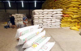 Bộ Công thương kiến nghị cho xuất khẩu gạo nếp