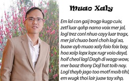 Chữ Việt song song:  Sáng tạo đáng nể hay rắc rối, 'đọc trẹo cả mồm'?