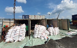 Hủy hơn 53.000 tấn gạo 'xí chỗ' hạn ngạch xuất khẩu