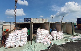 Ủy ban Kinh tế đề nghị xem xét trách nhiệm trong tham mưu xuất khẩu gạo