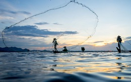 Các đập thủy điện ở Đông Nam Á bị đình trệ nhờ COVID-19