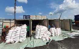 Thanh tra Chính phủ quyết định thanh tra công tác xuất khẩu gạo
