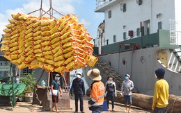 Hơn 38.000 tấn gạo được mở tờ khai hải quan trong 7 giây
