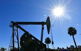 Giá dầu thế giới quay đầu tăng vọt sau chuỗi ngày giảm mạnh