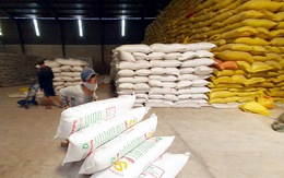Nhiều doanh nghiệp xuất khẩu gạo 'xù' hợp đồng cấp gạo dự trữ quốc gia
