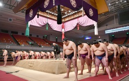 Virus corona 'hạ gục' một võ sĩ sumo Nhật