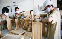 Việt Nam ký thỏa thuận về kiểm soát gỗ bất hợp pháp