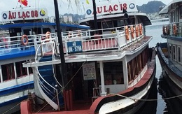 Thêm 1 tàu du lịch ở Hạ Long bị cấm hoạt động 90 ngày vì 'chặt chém'