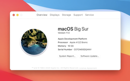 Máy Mac từ nay ngưng dùng chip Intel, iOS 14 có giao diện hoàn toàn mới