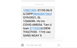 Tiền điện khách hàng tại Đà Nẵng tăng sốc 14,3 lần do 'chạm đường dây'