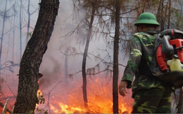 Video cả ngàn người chữa cháy rừng phủ 3 huyện trong nắng 40 độ C