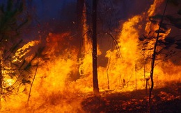 Bộ đội trắng đêm dập lửa cứu rừng