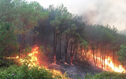 Lại cháy rừng dữ dội trong nắng nóng