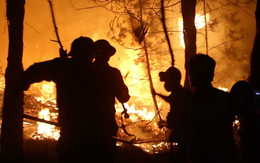 Nghệ An yêu cầu công an truy tìm thủ phạm gây cháy rừng