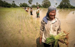 WB thông qua khoản tín dụng 93 triệu USD hỗ trợ chương trình cấp đất ở Campuchia