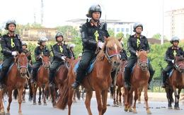 Bộ trưởng Tô Lâm: Sẽ sử dụng giống ngựa trong nước vào đoàn kỵ binh