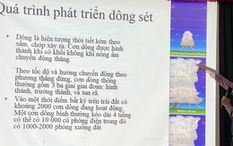 Điện thoại di động không 'hút' sét đánh