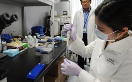Nhật Bản sử dụng tế bào gốc đa năng trong điều trị ung thư