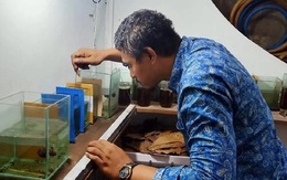 Nuôi cá nở rộ vì giãn cách xã hội ở Indonesia