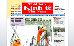 Thời báo Kinh tế Việt Nam đột ngột bị giải thể