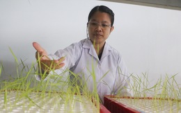 Phụ nữ làm khoa học: Lúc ăn cơm cũng phải làm
