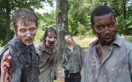 Zombie: Dòng phim thây ma xác sống kinh sợ tại sao lại 'quyến rũ' đến thế?