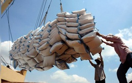 Việt Nam có cơ hội tăng xuất khẩu gạo trong ngắn hạn