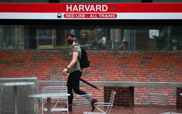 Chỉ 40% sinh viên Harvard được phép trở lại trường sau dịch COVID-19