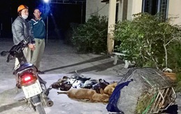 Bắt quả tang ‘cẩu tặc’ mang 10 con chó trộm được đi tiêu thụ
