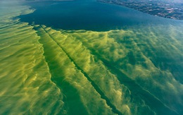 Hồ núi tại Mỹ chuyển màu do tảo diệp lục xâm lấn