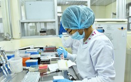 Việt Nam áp dụng phương pháp gộp mẫu để xét nghiệm phát hiện COVID-19