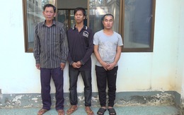 Triệt phá 4 đường dây đưa người trái phép từ Campuchia vào Việt Nam