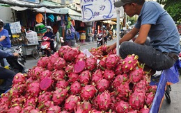 'Chưa bao giờ chán và sợ thanh long như bây giờ'